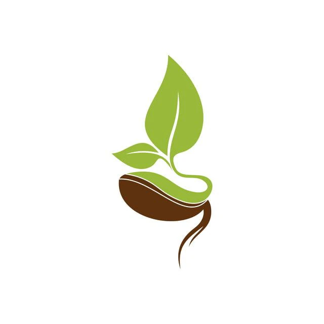 Buy seeds in KSA - Agrimatco