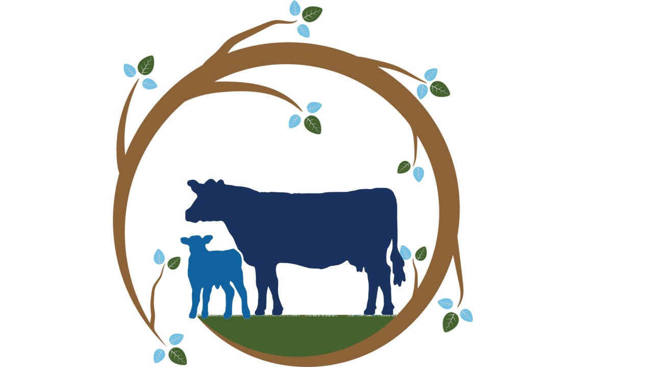 Veterinary supplies in KSA - AMMC